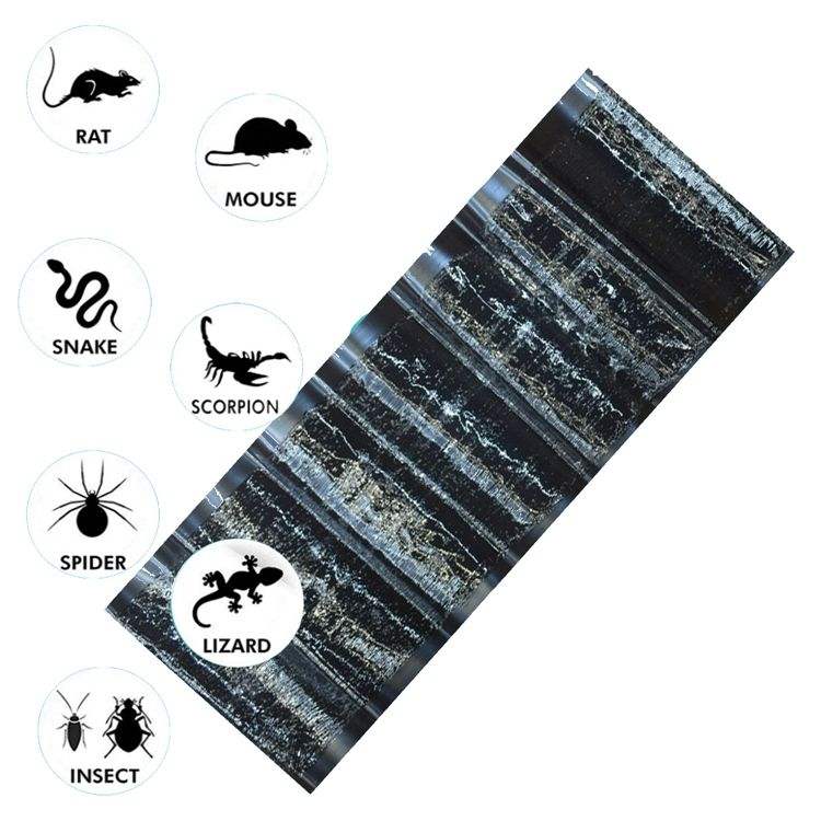Tapis collant | Piège à souris