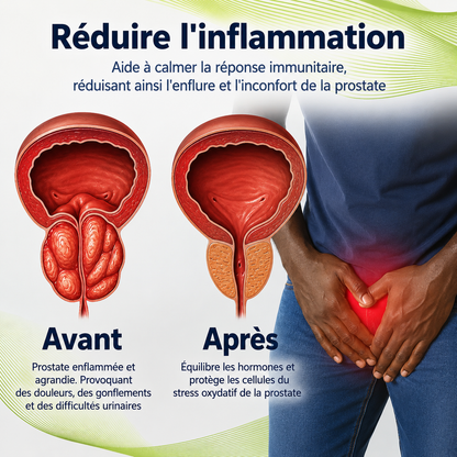 Bee Venom - Inhalateur de Prostate au venin d'abeilles
