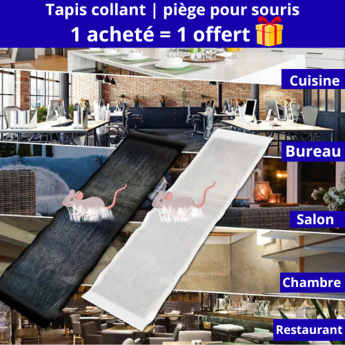 Tapis collant | Piège à souris