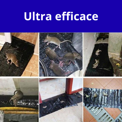 Tapis collant | Piège à souris